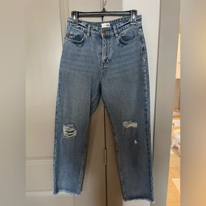Amuse Society high rise jeans